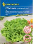 kiepenkerl Semințe de salată de frunze Vili (96649)
