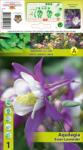 Holland Bulb Market Căldărușă (Aquilegia) Swan Lavender (10475)