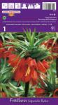 kiepenkerl Lalea imperială (Fritillaria) Rubra (37088)