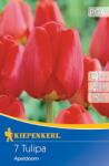 kiepenkerl Lalele Apeldoorn (501065)