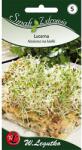 Legutko Semințe de germeni - Lucernă (86681)