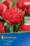 kiepenkerl Lalele Pamplona (500860)