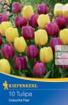 kiepenkerl Lalele Colourful Flair (508033)