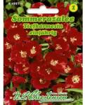 Chrestensen Semințe de godetia Deep Crimson (96425)