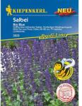 kiepenkerl Semințe de salvie Big Blue (86306)