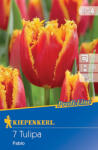 kiepenkerl Lalele Fabio (505148)