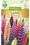 Chrestensen Semințe de lupin cu flori mari, mix multicolor (78975)