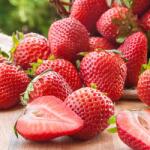 SuperStrawberry Căpșuni Malling Centenary (5200)