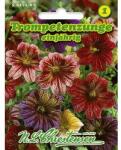Chrestensen Semințe de salpiglossis sinuata (Trompetuță) Superbissima, mix multicolor (96445)
