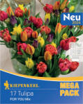 kiepenkerl Mega Pack For You mix multicolor (508873)