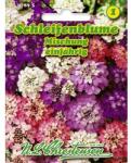 Chrestensen Semințe de lilicele Candy Tuft, mix multicolor (96428)