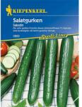 kiepenkerl Semințe de castraveți de salată Saladin (86455)