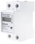 HomeVast Contor inteligent de energie electrica, HomeVast®, cu protocol WiFi, compatibil Tuya/Smart life (PST-ZMAI-90)