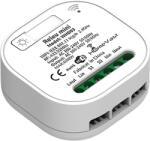HomeVast Receiver inteligent, HomeVast®, cu protocol WiFi+RF, compatibil Tuya/Smart life, 1 canal, on/off, pentru intrerupatoare cinetice (WHD03)