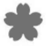 Pentacolor Pentacolor: Formalyukasztó 38 mm, Virág ötszirmú 2 (34400)