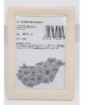 Herlitz Herlitz: Ablakos bérlet-/vármegyebérlet tartó krémszínű (09092110)