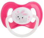 Canpol Central Europe, S. r. o Canpol Central Europe, S. r. o. : Canpol babies Kaucsuk, cseresznye alakú cumi, 6-18 hó, 1db, BUNNY and COMPANY - rózsaszín (23/278_PIN_NEW)