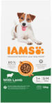 Iams 12kg IAMS Advanced Nutrition Adult Small & Medium Dog bárány száraz kutyatáp