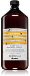 Davines Naturaltech Nourishing Sampon dehidratált fejbőrre és száraz törékeny hajra 1000 ml
