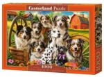 Castorland 1000 db-os puzzle - Boldog kutyák a farmon (C-105410) (C-105410)