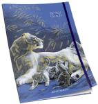 Shkolyaryk Publishing House Schoolboy, 80 oldal/db, 90 g/m2, varrott, A5, pontozott vonal (EMGCI080361)