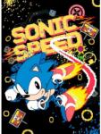 Grupo Erik Sonic: Speed - poszter (364247)