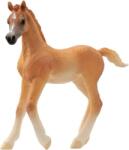 Schleich Figurina Schleich Horse Club - Cal arab, castan (13984-75369) Figurina