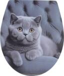 Quadrat Brigitte wc-ülőke, duroplast, fém zsanér, lecsapódásgátló, gyorskioldós, fordított, 1 oldala mintás