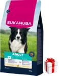EUKANUBA EUKANUBA Active Adult Medium Breed csirke 15kg + meglepetés a kutyának INGYENES!