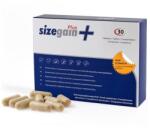 500 Cosmetics 30 Capsule pentru Performanta Sexuala SizeGain Plus