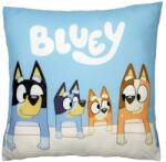 Jerry Fabrics Pernă de copii cu imprimeu - Bluey - familie | 40 x 40 cm (24CS048)
