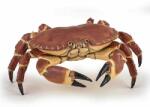 Papo Figurina Papo - Universul acvatic, Crab Figurina