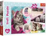Trefl Puzzle Trefl Pisici dragalase, 160 piese Puzzle