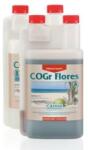 CANNA CoGr Flores A+B 2x10L - thegreenlove