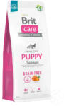 Brit BC Dog GF Puppy Salmon 3 kg (B58810)