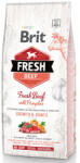 Brit BP Fresh Beef with Pumpkin Puppy Large 2, 5 kg (B30762)