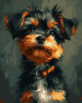 Oh Art! Set pictura pe numere, cu sasiu, Yorkshire Terrier, 40x50 cm (ANG847)