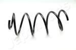 JAPANPARTS Arc spiral JAPANPARTS ZC3488H (ZC3488H)