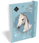 Lizzy Card Határidõnapló LIZZY CARD B/6 heti spirálozott gumis Wild beuty sport club 2026 (21586) - tonerpiac