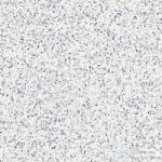 Marazzi Frammento Macro Azzuro R10 Rett. 120x120 cm-es padlólap, MMZY (MMZY)