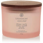 Chesapeake Bay Stillness + Purity illatgyertya 3 kanóccal 312 g