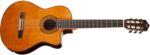 Tanglewood EM DC 5