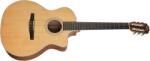 Taylor 214ce-N - kytary