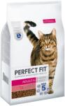 Perfect Fit 2x7kg Perfect Fit Active 1+ marha száraz macskatáp