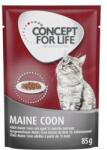 Concept for Life 12x85g Concept for Life Maine Coon Adult nedvestáp- száraztáphoz kiegészítés