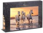 Ulmer 500 db-os puzzle - Camargue Horses (3672) (3672)