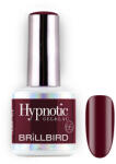 BrillBird TPO FREE Hypnotic HEMA Free Gel&Lac 8ml 66