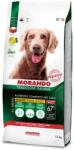 Morando TI Dog Adult Beef Pork and Barley 12kg