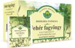 Herbária Fagyöngy filteres borítékolt 20x1g