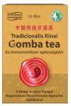 Dr. Chen Patika Tradicionális kínai gomba tea filteres 20x